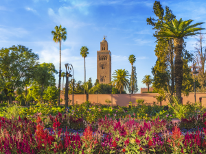 Driving in Marrakech: Simple 2026 Guide to Medina Parking, Roundabouts and Routes